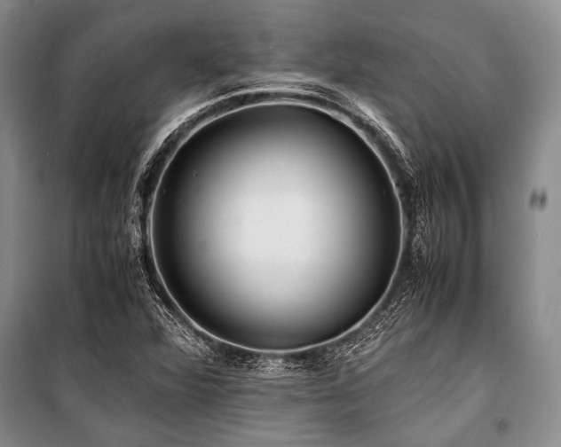 X0000101171360200806271024