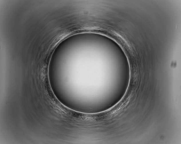 X0000101171361200806271024