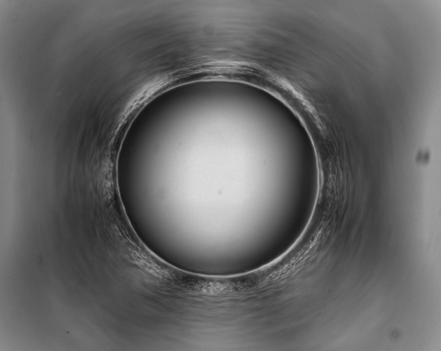 X0000101171362200806271024