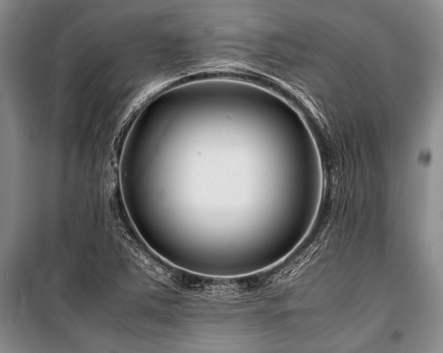 X0000101171363200806271024