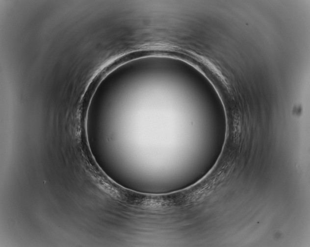 X0000101171364200806271024