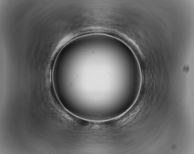 X0000101171365200806271024