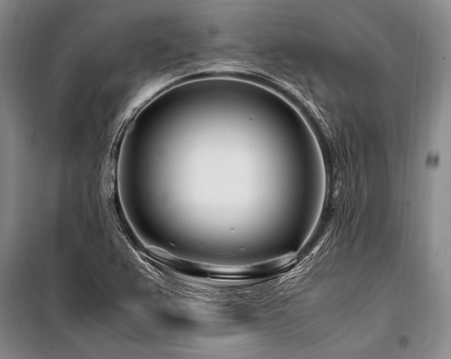 X0000101171367200806271024