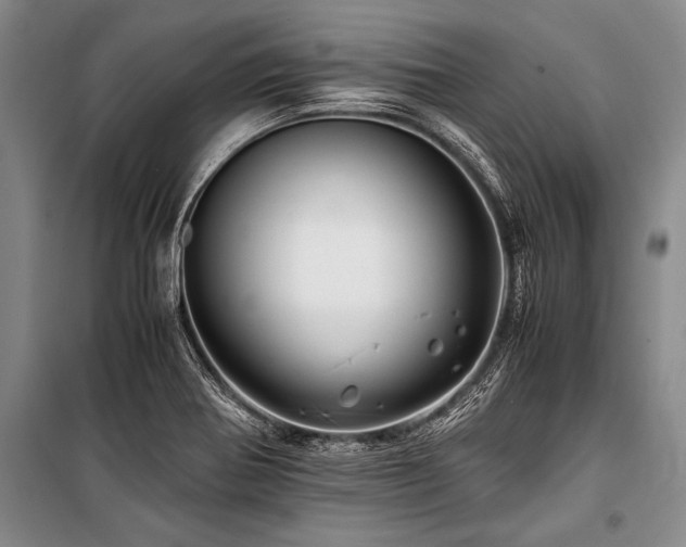 X0000101171370200806271023