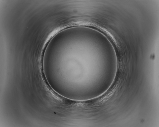 X0000101171373200806271023