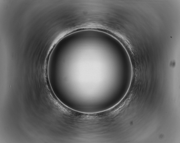 X0000101171374200806271023