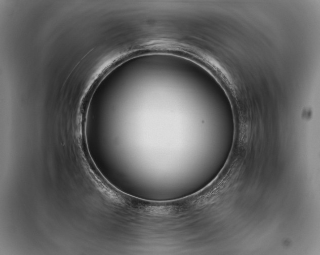 X0000101171376200806271023