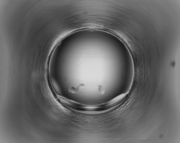 X0000101171379200806271023
