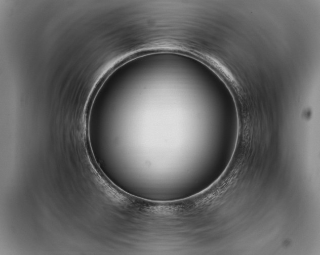 X0000101171380200806271023