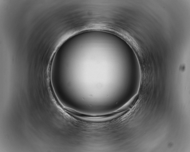 X0000101171382200806271023