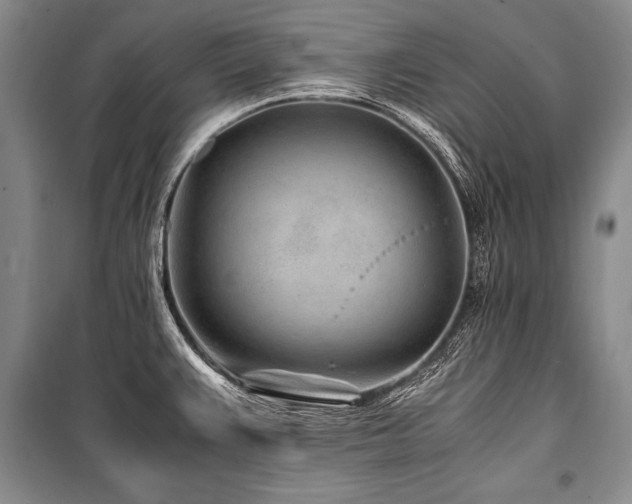 X0000101171383200806271023