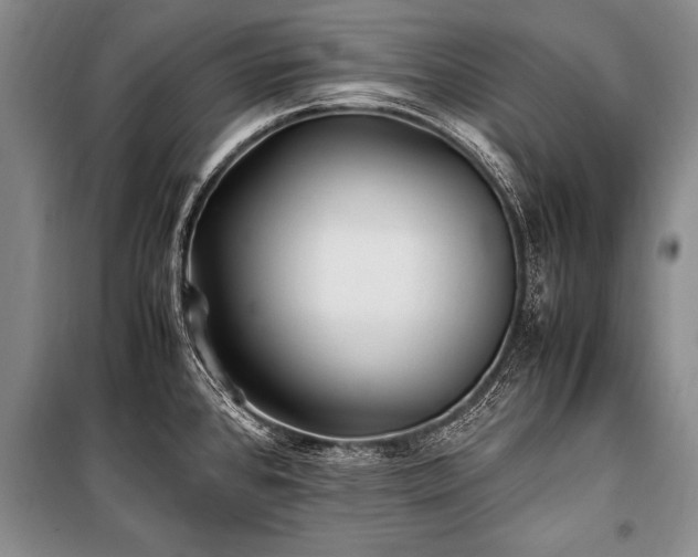 X0000101171384200806271023