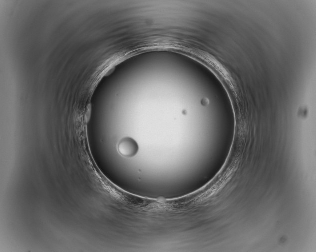X0000101171385200806271023