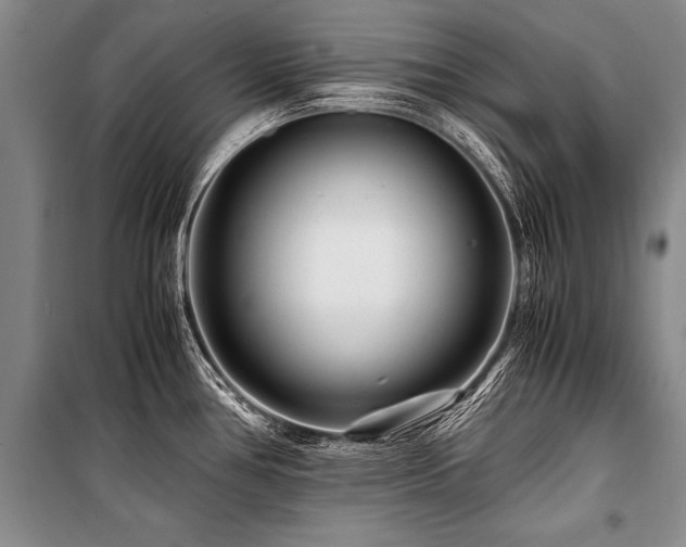 X0000101171386200806271023