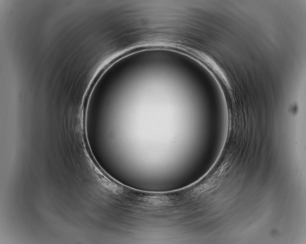 X0000101171388200806271023