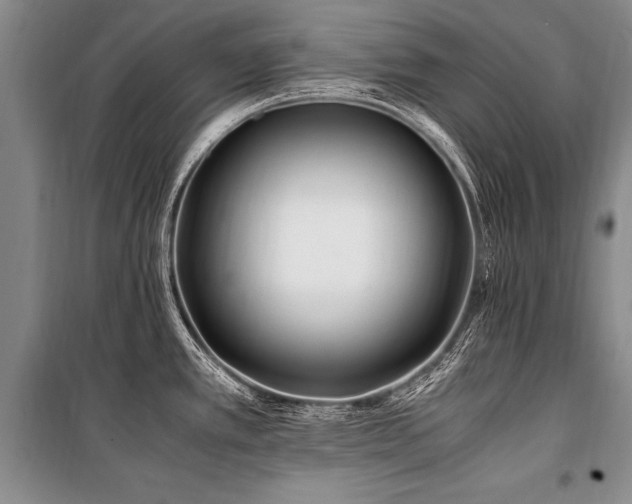 X0000101171389200806271023