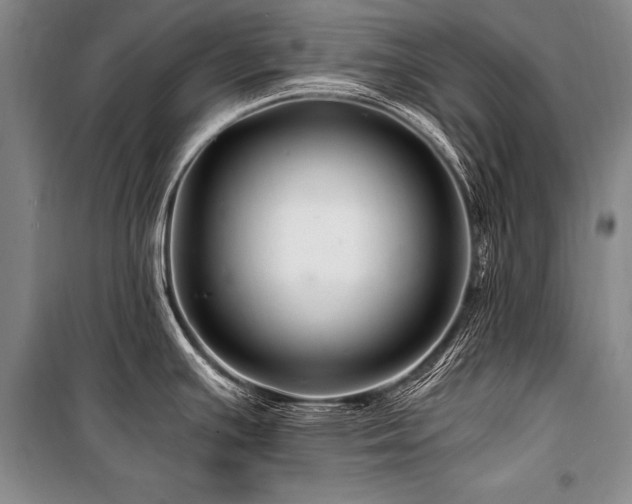 X0000101171391200806271023