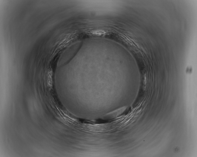 X0000101171394200806271022