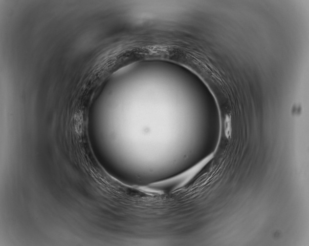 X0000101171395200806271022