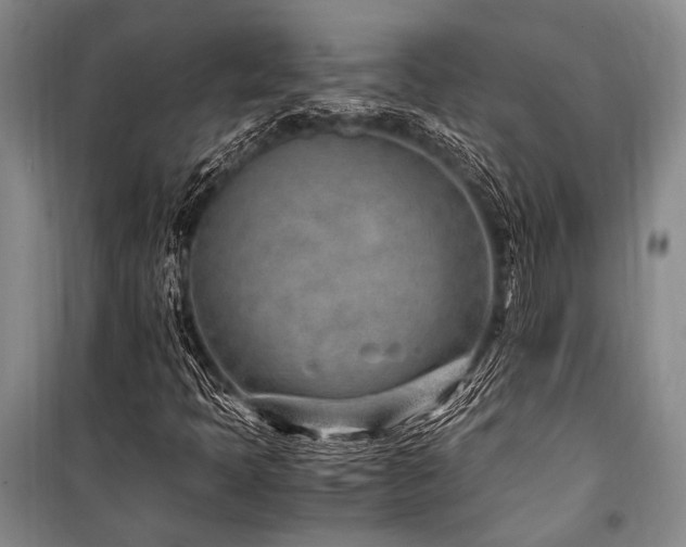 X0000101171397200806271022