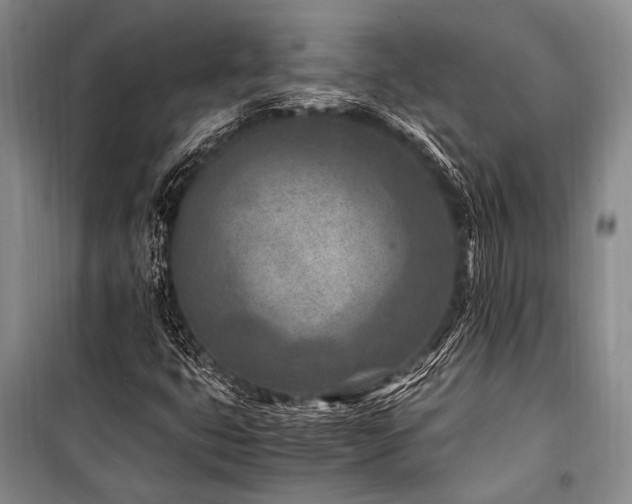 X0000101171399200806271022