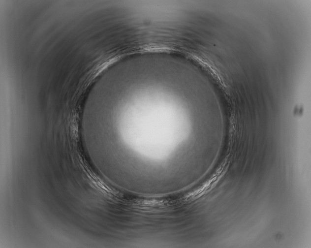 X0000101171401200806271022