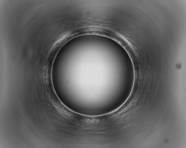X0000101171403200806271022