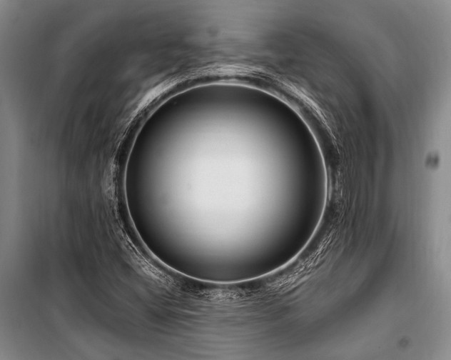 X0000101171404200806271022