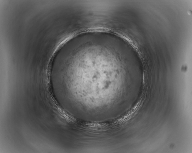 X0000101171405200806271022