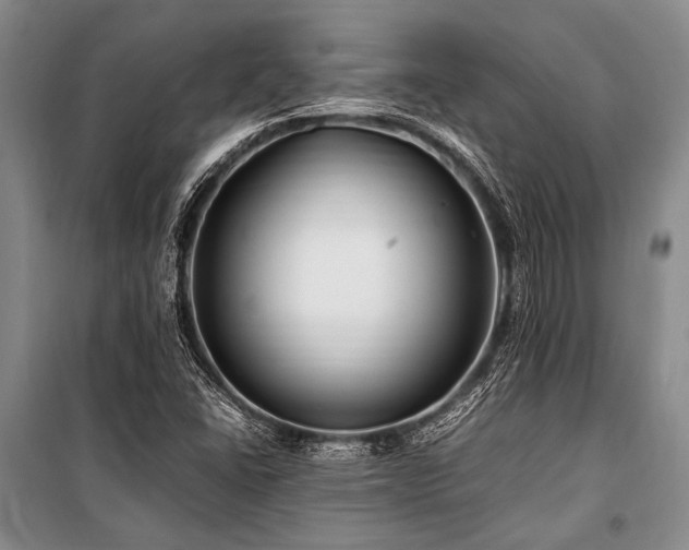 X0000101171406200806271022