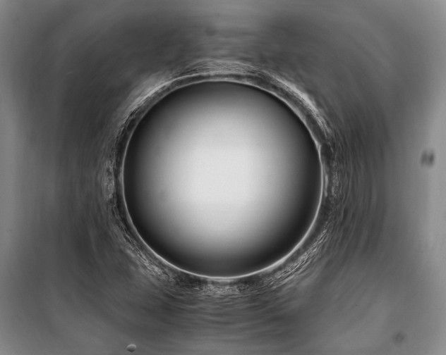 X0000101171407200806271022