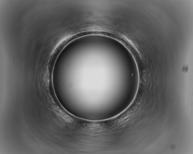 X0000101171408200806271023