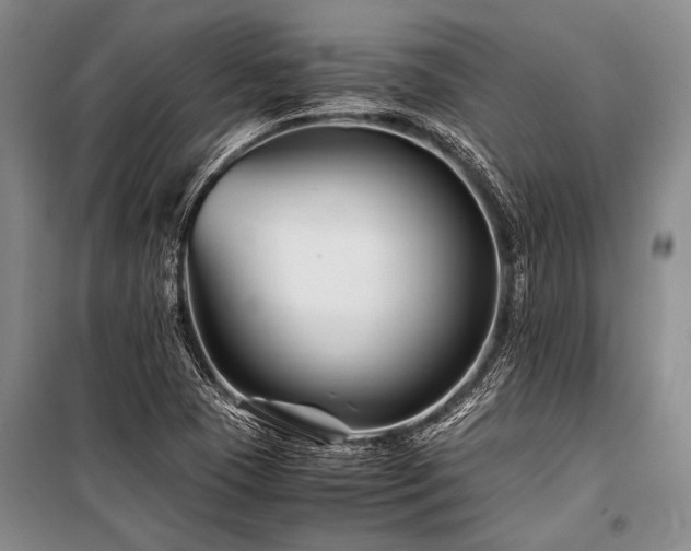 X0000101171409200806271023