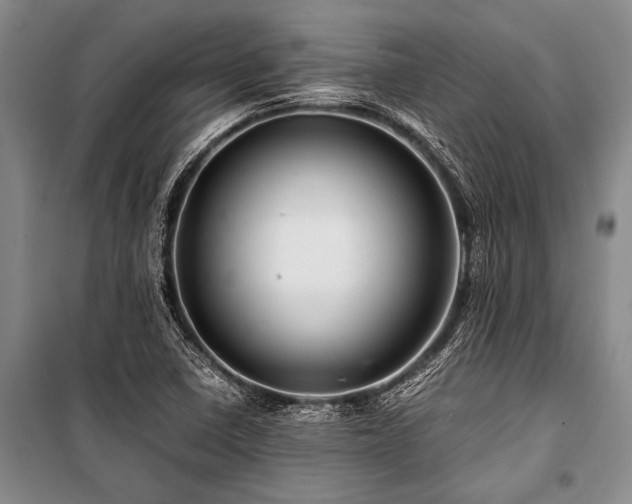 X0000101171410200806271023