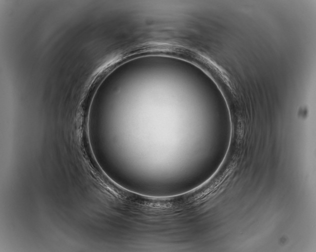 X0000101171411200806271023