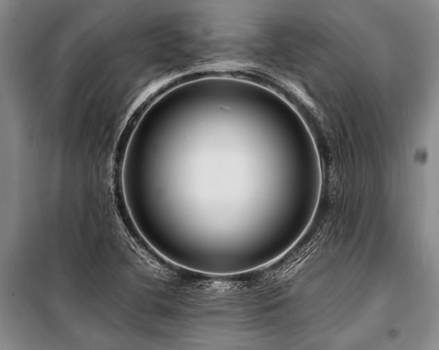 X0000101171412200806271023