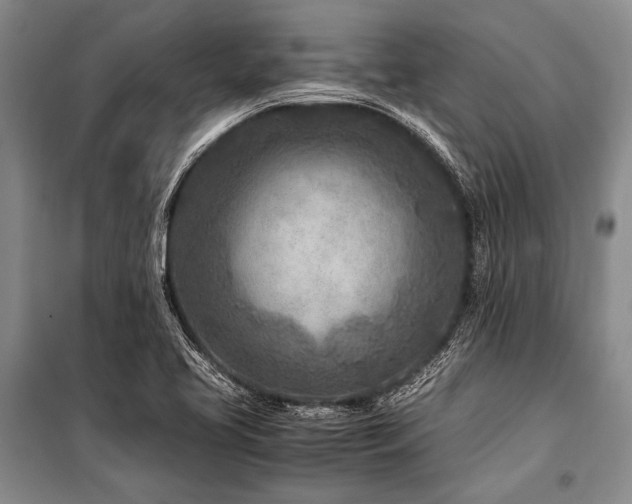 X0000101171413200806271023