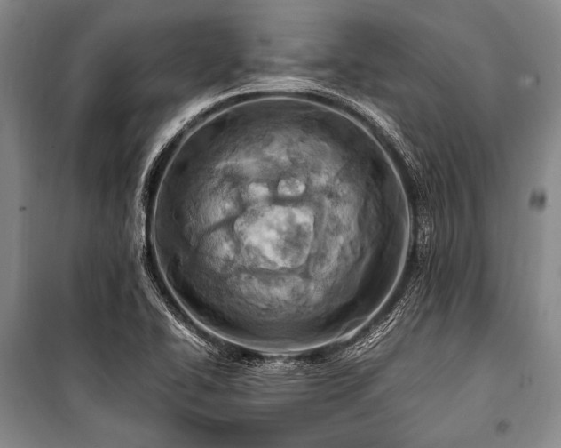 X0000101171414200806271023