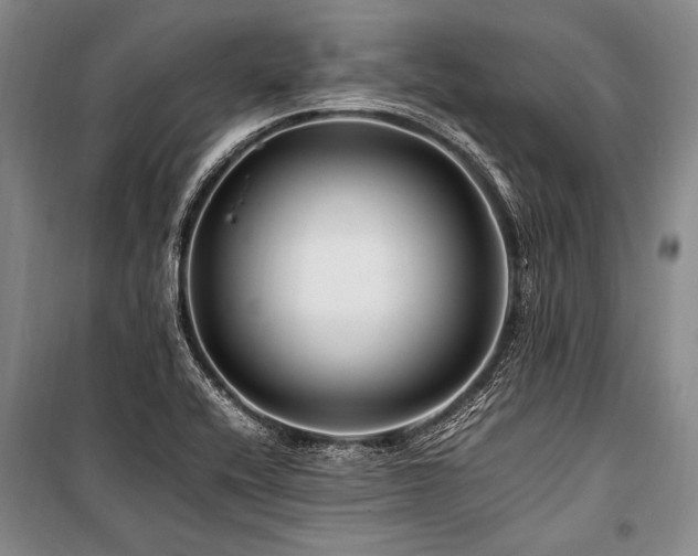 X0000101171416200806271023