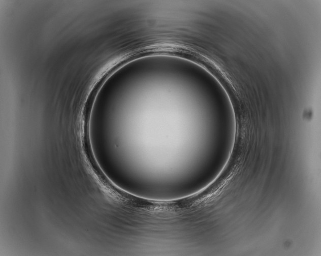 X0000101171418200806271023