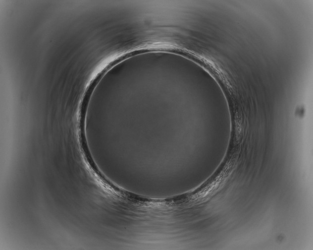 X0000101171422200806271023