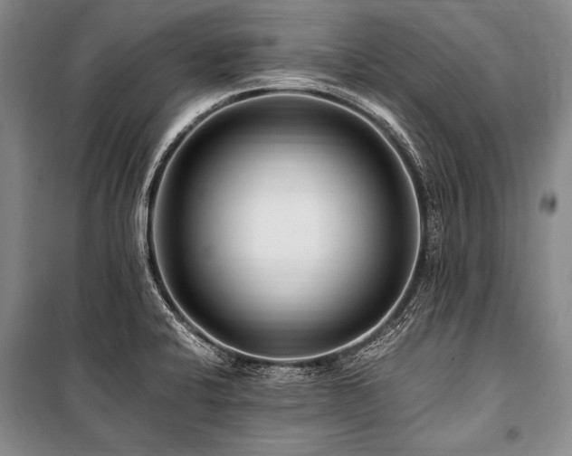 X0000101171424200806271023