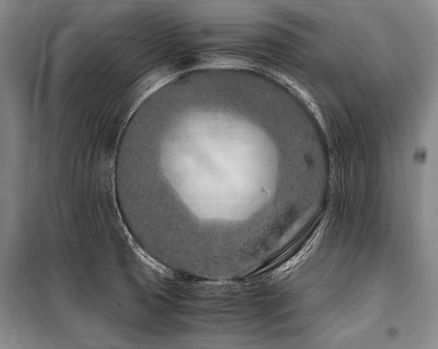 X0000101171425200806271023