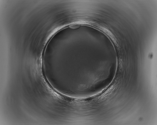 X0000101171428200806271023