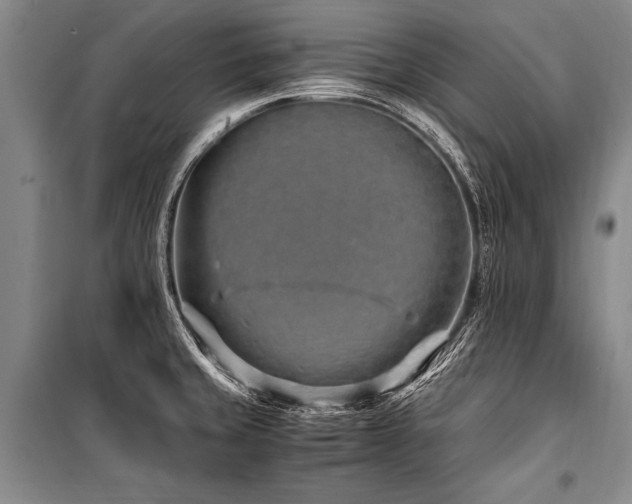 X0000101171429200806271023