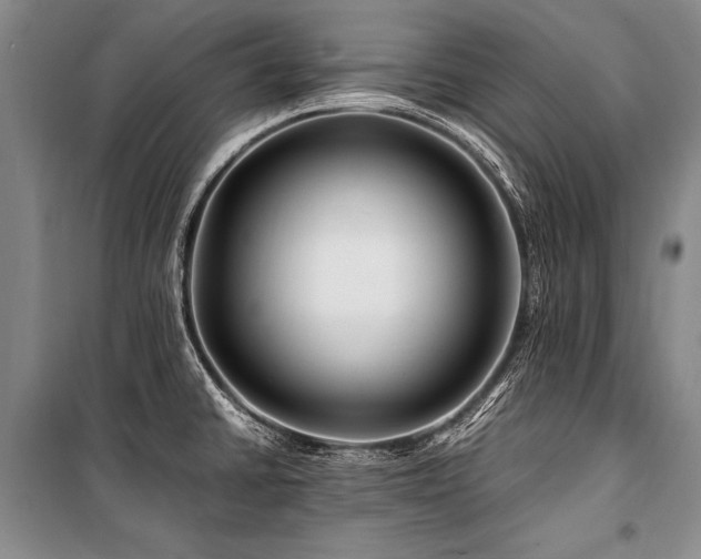 X0000101171430200806271023