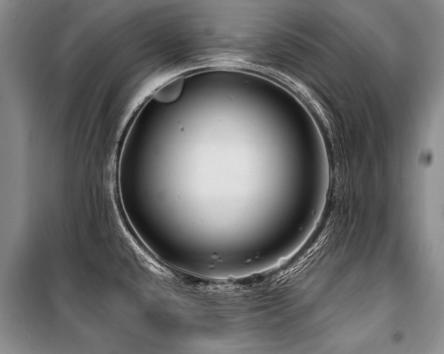 X0000101171432200806271023