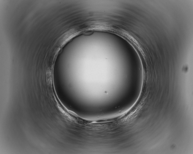 X0000101171433200806271023