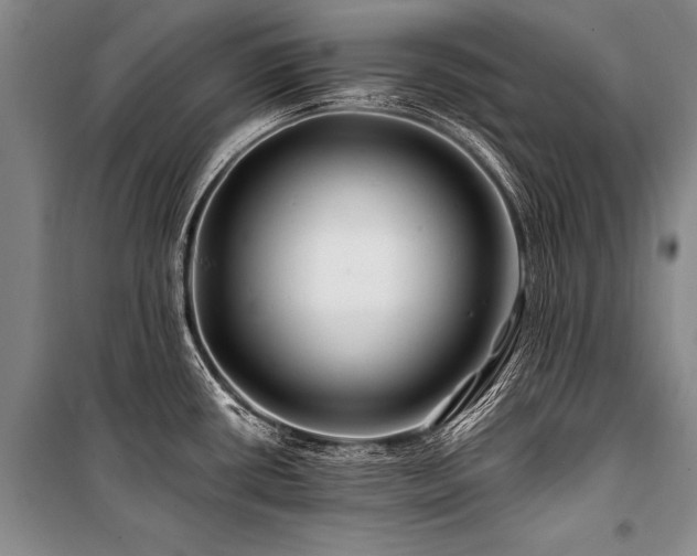 X0000101171434200806271023
