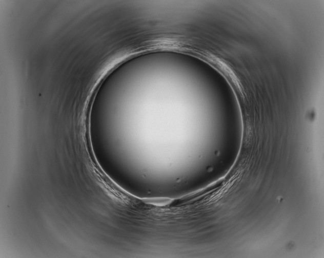 X0000101171435200806271023